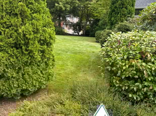 Dave J.'s Lawn Maintenance service result