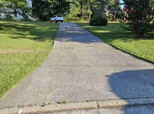 Vincent G.'s Lawn Service service result