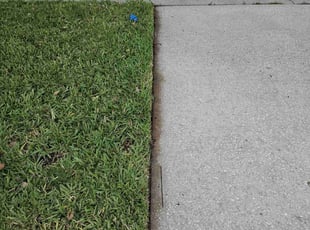 Richard D.'s Lawn Mowing Service service result