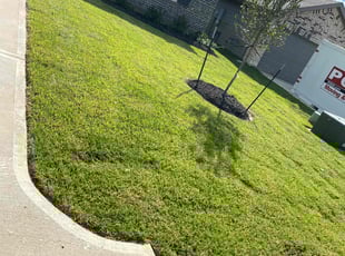 Anthony H.'s Lawn Mowing Service service result