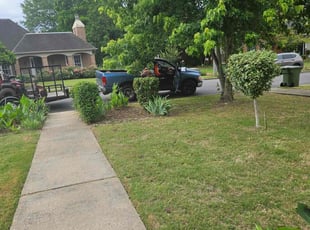 Bush Trimming by Edgar Rangel for Sherelle A. in Montgomery, AL