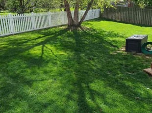 Diane B.'s Lawn Care service result