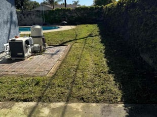 Chris M.'s Lawn Mowing service result