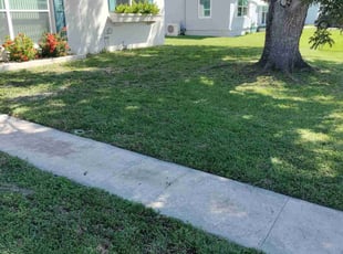 Barb M.'s Lawn Mowing service result