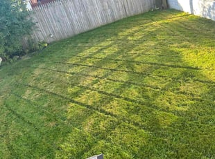 Lazar H.'s Lawn Service service result