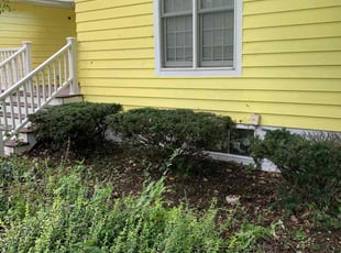 Bush Trimming by Randy Schenck for Frank L. in Fox Lake, IL