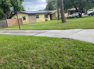 Belinda T.'s Lawn Mowing Service service result