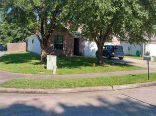 Cindi K.'s Yard Cutting service result