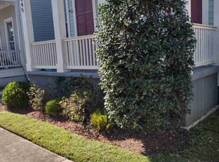 Weeding by Gray Allen for Rebecca F. in New Orleans, LA