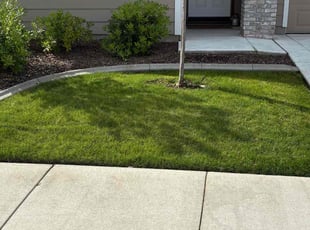 Sandi D.'s Lawn Care service result