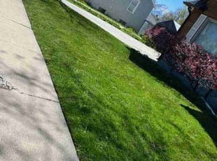 Alexis A.'s Lawn Service service result