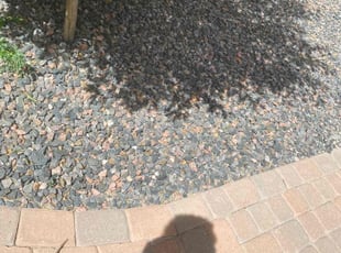 Leaf Removal by Tylon Newcomb for Chris E. in Aurora, CO