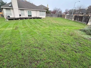 Daniele B.'s Yard Cutting service result