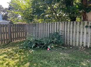 Weeding by Jeremiah Perry for Abigale M. in Norfolk, VA