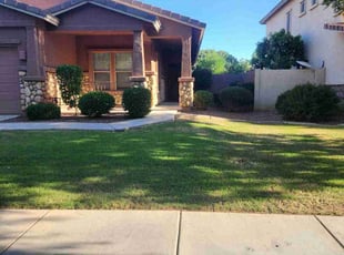 Bush Trimming by Tripler Dela Cruz for Sandi H. in Gilbert, AZ