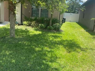 Tina G.'s Lawn Care service result