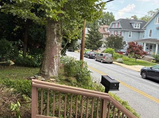 Bush Trimming by India Watson for Laura G. in Baltimore, MD