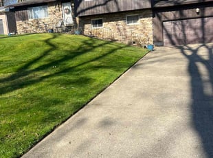 TRAVIS E.'s Lawn Mowing service result