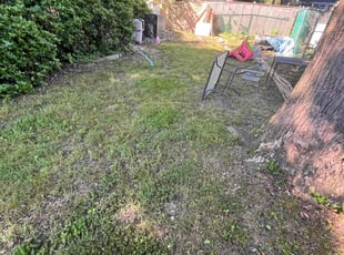 Bush Trimming by Caree Keith for Toshia W. in Fort Washington, MD