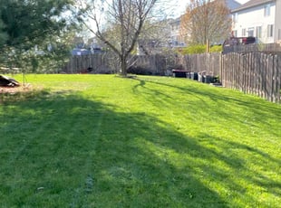 Carla M.'s Lawn Mowing Service service result