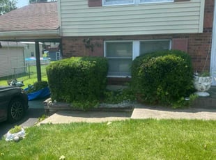 Bush Trimming by Joseph Smith for Jamie G. in Sparrows Point, MD