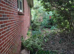 Bush Trimming by Kristie Mitchell for Jackie S. in Poquoson, VA