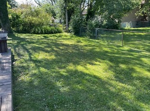 Brad S.'s Lawn Mowing service result