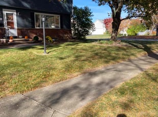 Leaf Removal by James Serio for David O. in Rochester, NY