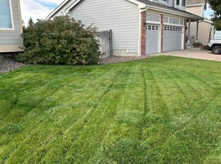 Patricia M.'s Lawn Mowing Service service result