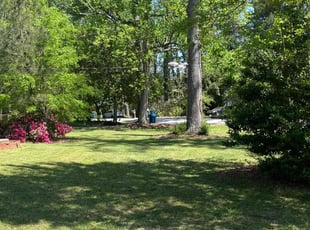 Lashondra C.'s Yard Cutting service result