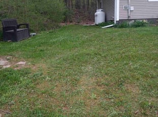Sandy D.'s Lawn Maintenance service result