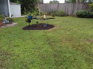 Ken M.'s Yard Cutting service result