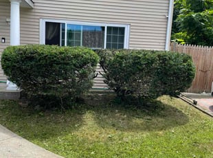 Bush Trimming by Aaron Ford for Luticha E. in Wyandanch, NY