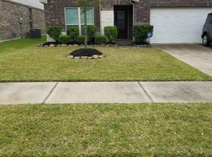 Mulching by Irma Moreno for Brian F. in Katy, TX