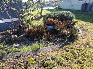 Bush Trimming by Ihosvany Rodriguez for Greg M. in Cape Coral, FL