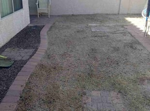 Cleanups by Julia Laurean for Beyanka J. in Phoenix, AZ