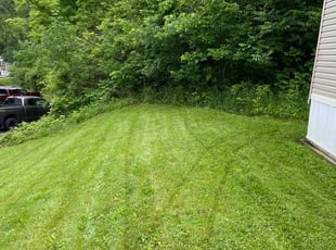 Vera D.'s Lawn Maintenance service result