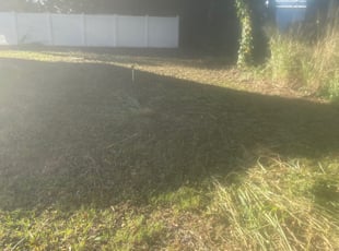 Bush Trimming by Liliana Ochoa-Pascual for Carlos F. in Clearwater, FL