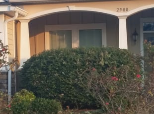 Bush Trimming by Jeryl Scott for Elissa G. in Tallahassee, FL