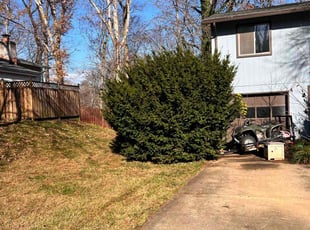 Cleanups by Khalim Yularnis for Michael M. in Burke, VA