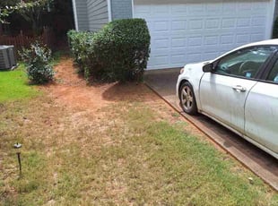 Bush Trimming by Marsha Cooper for Michelle D. in Atlanta, GA
