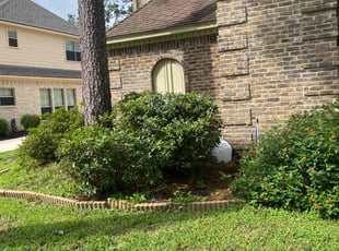 Bush Trimming by Juan Wong for Gianni B. in Houston, TX