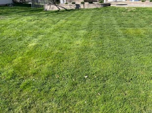 Shirley F.'s Lawn Care service result