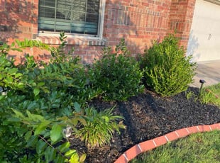 Weeding by luis medellin for Alexis G. in Fate, TX
