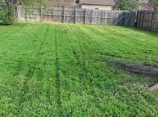 Candice H.'s Lawn Care service result