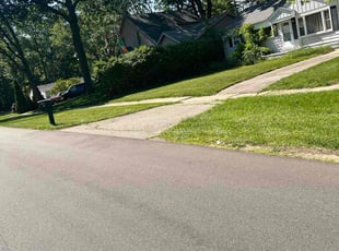 Janis K.'s Lawn Mowing Service service result