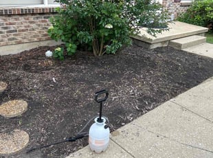 Weeding by Susy Mia Nieto for Chris b. in Newark, DE