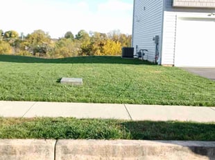 Laura C.'s Grass Cutting service result