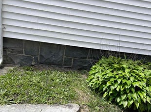 Leaf Removal by Tyler Elias for Mary S. in Taunton, MA
