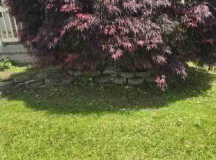 Weeding by CHRISTOPHER SALYERS for Kieron C. in Blacklick, OH